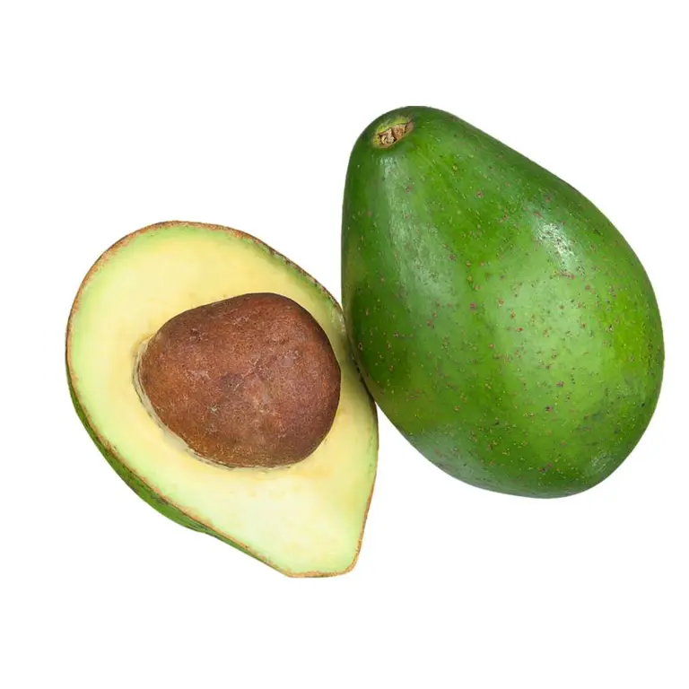 Abacate