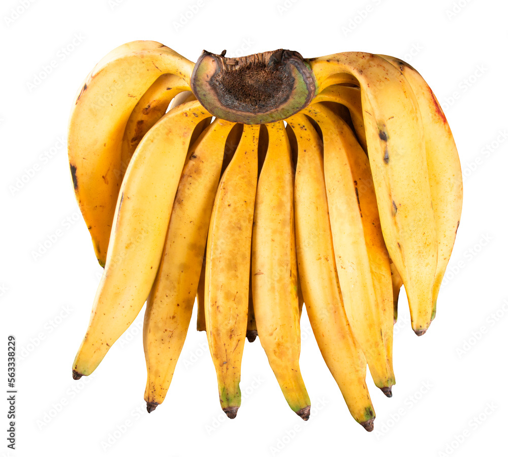 banana_comprida