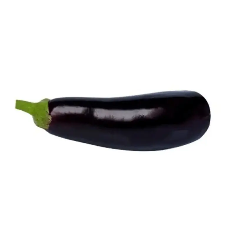 Berinjela