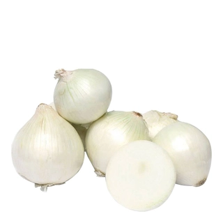 Cebola Branca