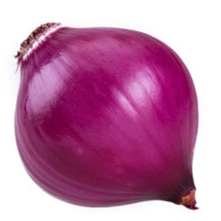 Cebola Roxa