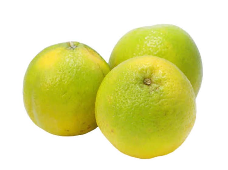 Laranja Mimo