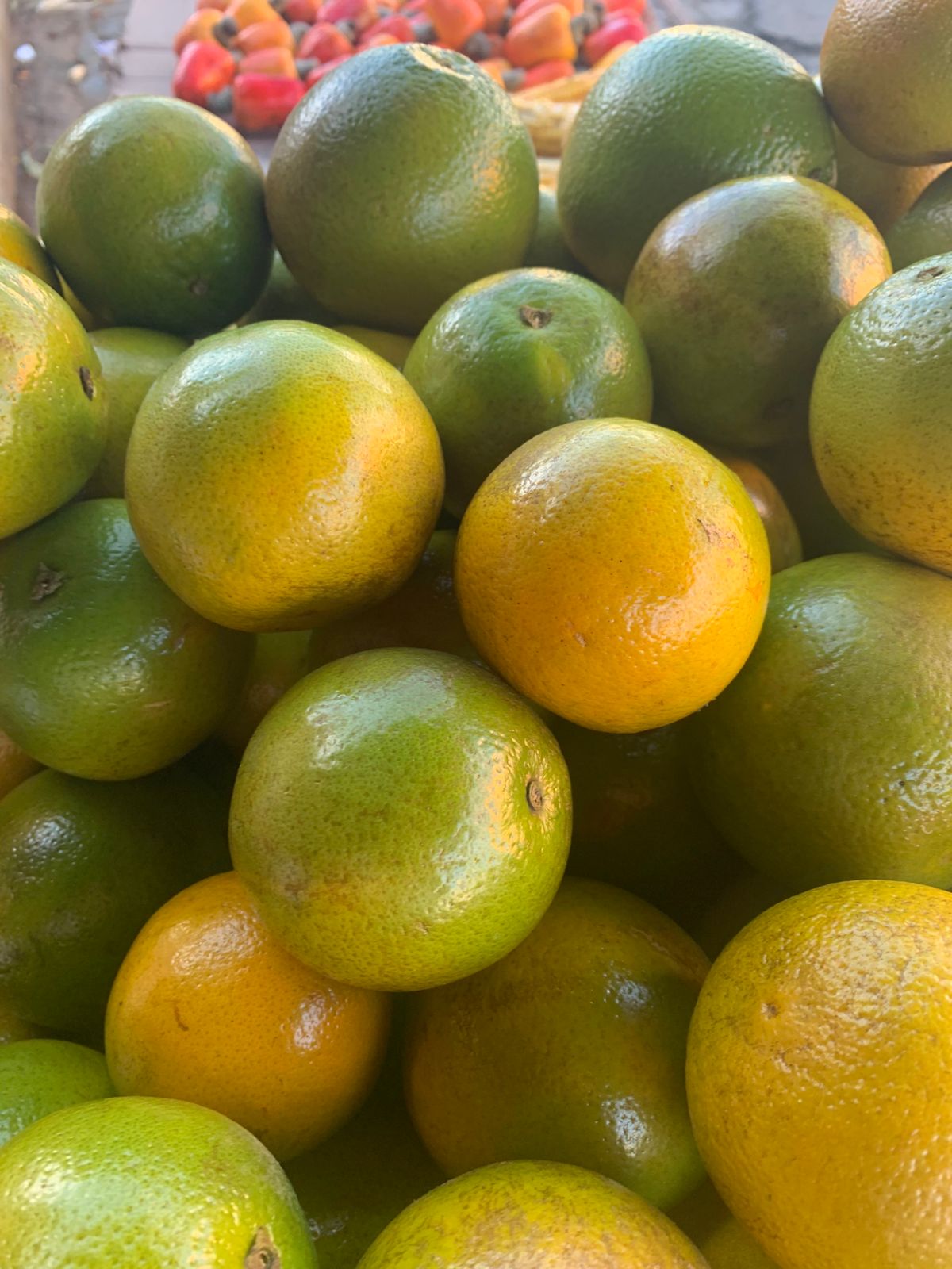 Laranja Pera
