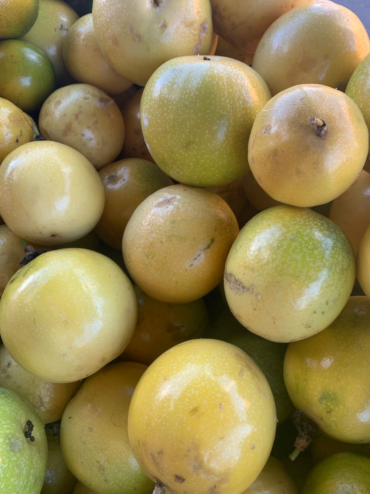 maracuja