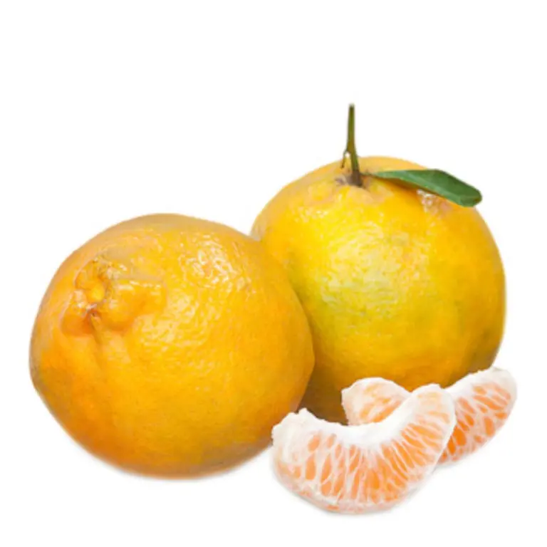 tangerina